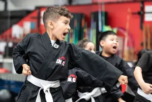 Kempo Karate (for Kids, Teens, and Adults)